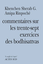 THRANGOU Khènchèn Commentaires sur les trente-sept exercices des boddhisattvas  Librairie Eklectic
