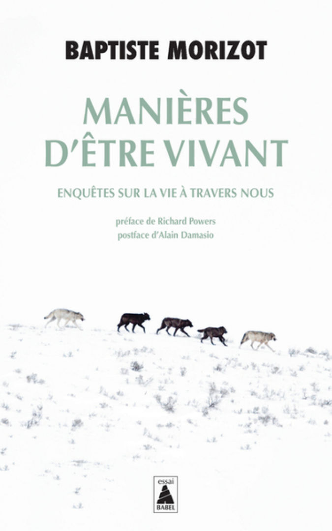 MORIZOT Baptiste Manières d´être vivant. Enquêtes sur la vie à travers nous Librairie Eklectic