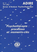 Collectif Psychothérapie : processus et moments-clés - Revue ADIRE n°17 Librairie Eklectic