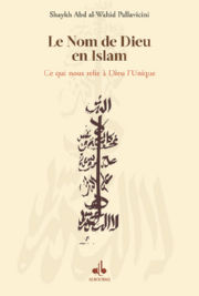 PALLAVICINI  Abd-al-Wahid Allah, le Nom de Dieu en Islam. Ce qui nous relie à Dieu l´Unique dans l´Universalité des Révélations Librairie Eklectic