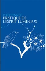 FENNER Peter Pratique de l´esprit lumineux (+ CD MP3) Librairie Eklectic