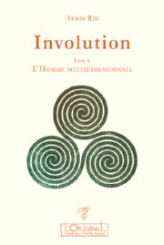 ARMIN RISI Involution. Tome 1 : L´homme multidimensionnel Librairie Eklectic