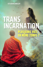 DIDELOT Sylvain Transincarnation. Plusieurs vies en même temps ? Librairie Eklectic