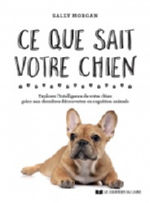 COLLINS Sophie Ce que sait votre chien Librairie Eklectic