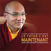 KARMAPA (Le XVIIe) (Ogyèn Trinlé Dorjé) Futur c´est maintenant (Le). Conseils pour l´avènement d´un monde meilleur Librairie Eklectic