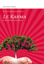 SENGUE Tcheuky Le karma. Le destin entre nos mains Librairie Eklectic