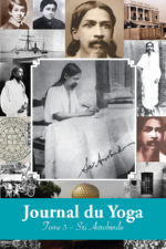 AUROBINDO Shrî Journal du Yoga - Tome 3 Librairie Eklectic