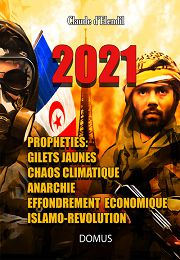 D ELENDIL Claude 2021, Prophéties: gilets jaunes, chaos climatique, anarchie, effondrement écoonomique, islamo-révolution. Librairie Eklectic