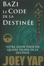 YAP Joey Bazi - Le code de la destinée Livre 1 Librairie Eklectic