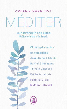 GODEFROY Aurélie Méditer, une médecine des Ames. Entretiens Librairie Eklectic