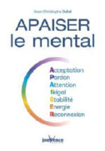 DULOT Jean-Christophe Apaiser le mental. Acceptation - Pardon - Attention - Ikigai - Stabilité - Energie - Reconnexion Librairie Eklectic