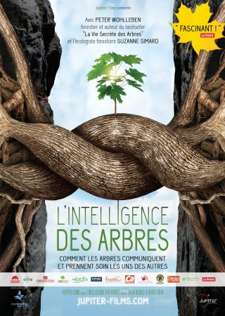 J. DORDEL & G. TOLKE (avec P. Wohlleben et S. Simard) L´intelligence des arbres. Comment les arbres communiquent et prennent soin les uns des autres. (2 DVD) Inclus 