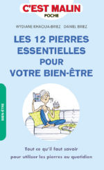 BRIEZ Daniel & KHAOUA-BRIEZ Wydiane Les 12 pierres essentielles pour votre bien-être Librairie Eklectic