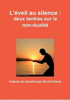 DUBOIS David (traduction) L´éveil au silence : deux tantras sur la non-dualité Librairie Eklectic