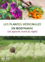 Collectif Les Plantes médicinales en biodynamie. Une approche vivante du végétal Librairie Eklectic