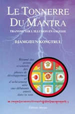 JAMGON KONGTRUL LODREU THAYE Tonnerre du Mantra (Le) - Transmuter l´illusion en sagesse Librairie Eklectic