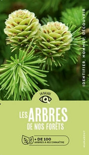 HECKER Katrin En balade : les arbres de nos forêts Librairie Eklectic