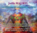 MAUREL Joëlle La puissance de guérison de l´esprit - huit méditations guidées pour harmoniser les chakras et régénérer les glandes endocrines Librairie Eklectic