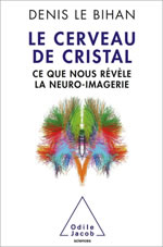 LE BIHAN Denis Le cerveau de cristal. Ce que nous révèle la neuro-imagerie Librairie Eklectic