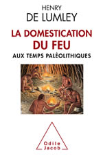 LUMLEY Henry de La domestication du feu aux temps paléolithiques Librairie Eklectic