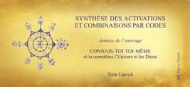 LIPNICK Yann Synthèse des activations et combinaisons par codes (annexe de Connais-toi toi-même, Tome 1) Librairie Eklectic