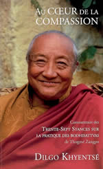 DILGO KHYENTSE Au coeur de la compassion : les 37 stances sur la pratique des bodhisattvas de Gyalse Thogmé Zangpo Librairie Eklectic
