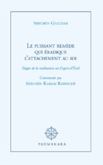 GYALTSAB Shéchèn Le puissant remède qui éradique l´attachement au soi. Etapes de la méditation sur l´esprit d´Eveil. Commenté par Shéchèn Rabjam Rinpoché Librairie Eklectic