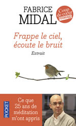 MIDAL Fabrice Frappe le ciel, écoute le bruit  Librairie Eklectic