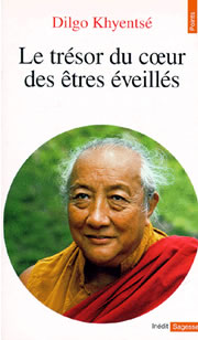 DILGO KHYENTSE Trésor du coeur des êtres éveillés (Le). Pratique de la vue, de la méditation et de l´action Librairie Eklectic