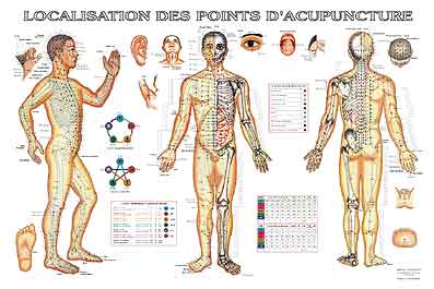 - Localisation des Points d´acupuncture : Planche murale plastifiée en couleurs, 57x88 cm Librairie Eklectic