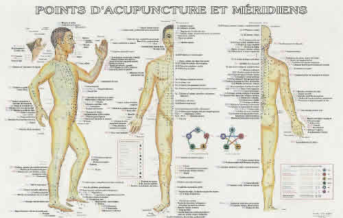 - Points d´acupuncture et méridiens avec indications patho. - Planche en couleurs, 57x88 cm Librairie Eklectic