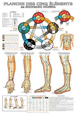 - Planche des 5 éléments de Shohaku Honma - Points d´acupuncture des trois méridiens du Yin et du Yang Librairie Eklectic