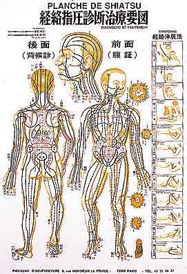 - Planche de Shiatsu, plastifiée, en couleurs, en français, 70 x 50 cm Librairie Eklectic