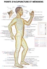 - Set de 3 planches Points d´acupuncture et méridiens avec indications pathologiques - 29,7 x 42 cm Librairie Eklectic