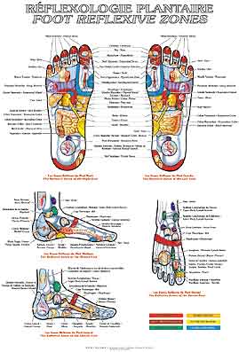 - Planche de Réflexologie Plantaire (en français et anglais) (48,5 x 69 cm) Librairie Eklectic