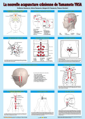 - Planche La nouvelle acupuncture crânienne de Yamamoto YNSA (plastifiée, 50 x 70 cm) Librairie Eklectic