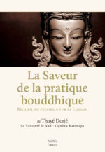 THAYE DORJE, XVIIe KARMAPA La Saveur de la pratique bouddhique. Recueil de conseils sur le chemin Librairie Eklectic