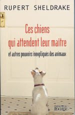 SHELDRAKE Rupert Ces chiens qui attendent leur maître et autres pouvoirs inexpliqués des animaux Librairie Eklectic