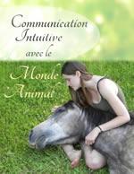 SOURYAMI Communication intuitive avec le Monde Animal Librairie Eklectic