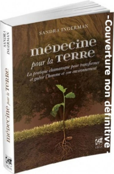 INGERMAN Sandra Médecine pour la Terre. Comment transformer les toxines du corps humain et de l´environnement Librairie Eklectic