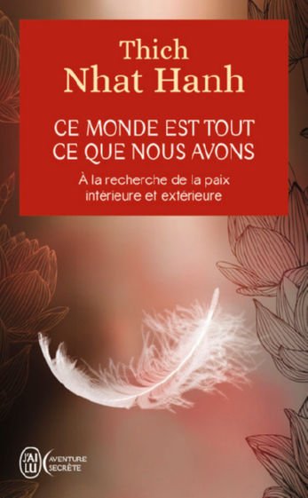 THICH NHAT HANH Ce monde est tout ce que nous avons Librairie Eklectic