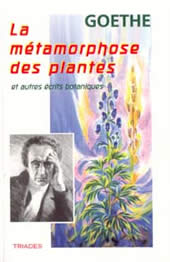GOETHE Johann Wolfgang von La métamorphose des plantes (introduction et notes R. Steiner) Librairie Eklectic