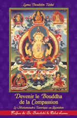 THOUBTEN Yeshé Devenir le Bouddha de la compassion -- soldé éditeur
 Librairie Eklectic