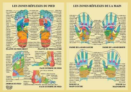 - POSTER - Reflexologie des mains et des pieds (42x61 cm) - plastifié Librairie Eklectic