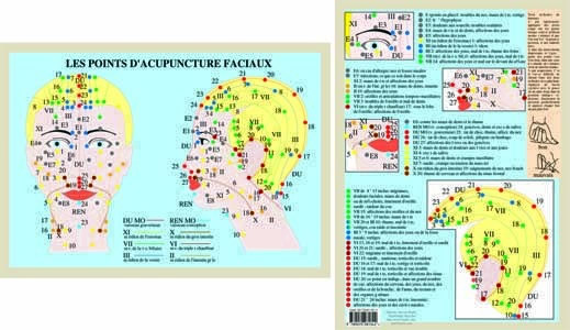 - Planche : Les points d´acupuncture faciaux (A4) Librairie Eklectic