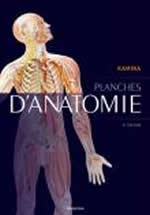 KAMINA P. Atlas d´anatomie : coffret de 24 planches (3e édition) Librairie Eklectic