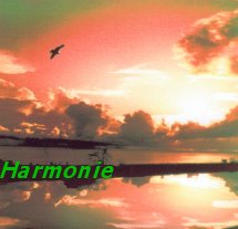 FARGEOT Denis & LORIAN Emmanuel Harmonie - CD de musique thérapeutique Librairie Eklectic